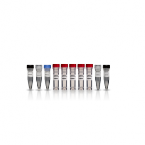 First-Strand cDNA Synthesis Kit, 55 reactions