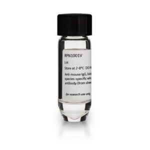 Mouse Ig (Whole Ab), biotinylated, 2 ml