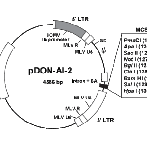 pDON-AI-2 DNA - 20 ug