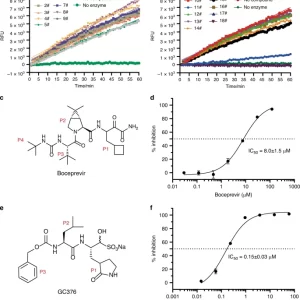Pfu Protease S - 500 Units