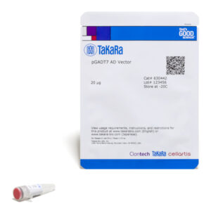pGADT7 AD Vector - 20 ug
