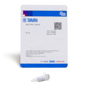 pBI-CMV1 Vector - 20 ug