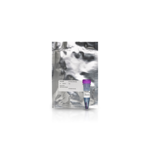 Cy3 Nhs Ester, 1 Mg