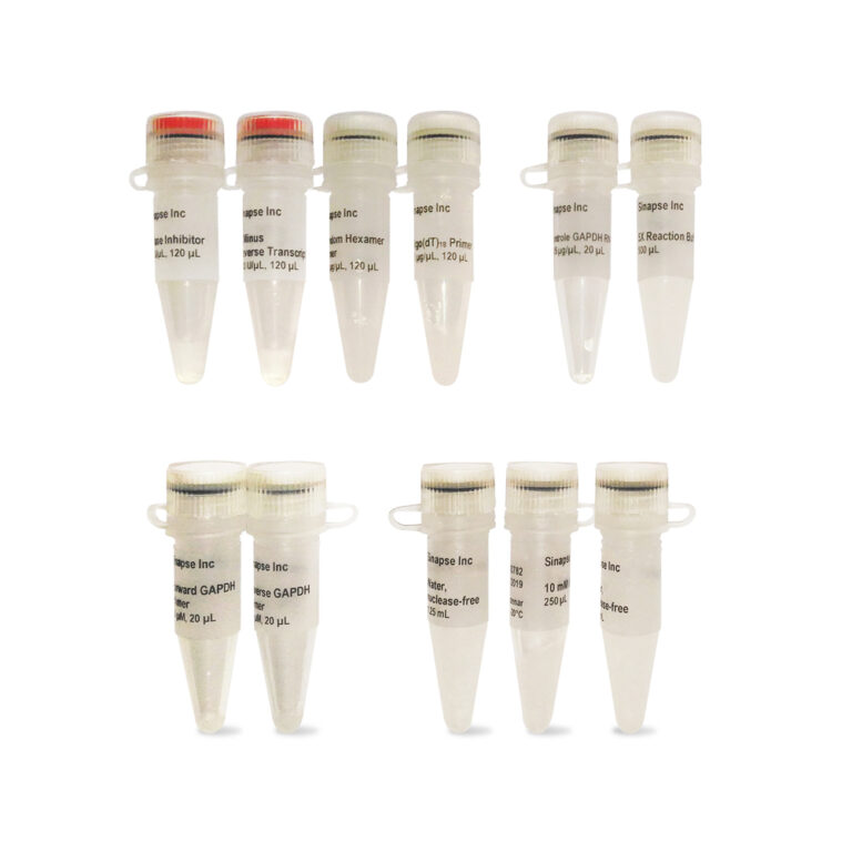 Platus Transcriber RNase H cDNA First Strand kit, 100 x 20 uL rxns