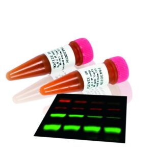 ECL Plex Goat-Mouse IgG-Cy5, for 1000 cm membrane area, 150 ug