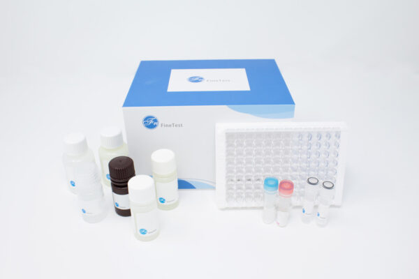 Rat CORT(Corticosterone) ELISA Kit, 96T