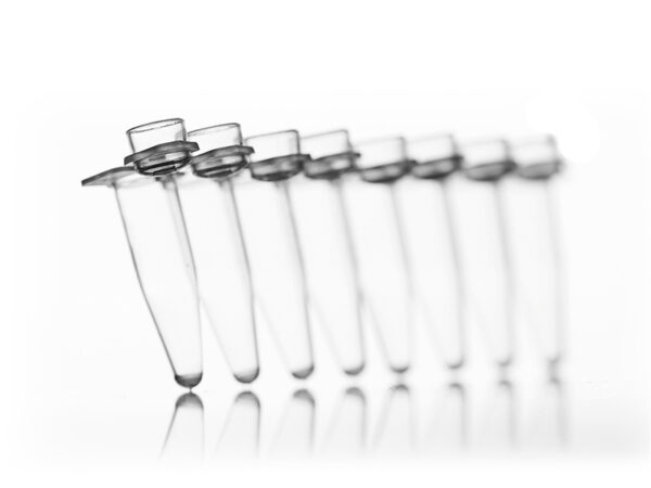 8 Well PCR Tube Strips, With Attached Domed Caps; 0.2 ml wells, clear PP, 120 tube strips