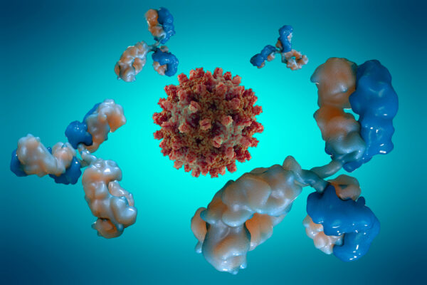 Human IgA Anti-SARS-CoV-2 Spike Antibody (A60H), 100 ug