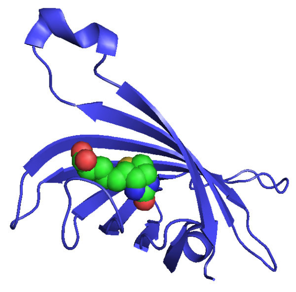 Streptavidin-FITC Conjugate, 1 mg