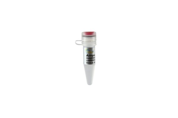 Ampicillin, 1 ml