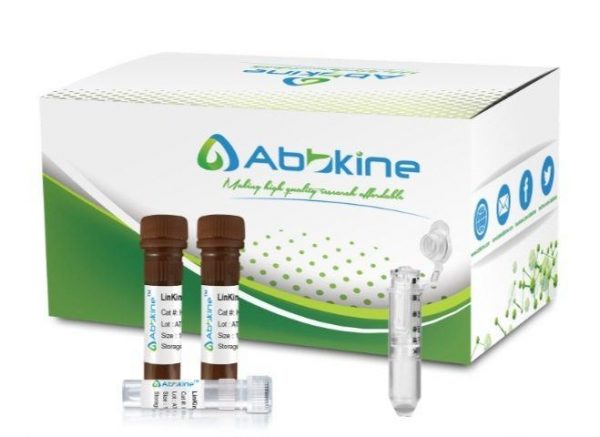 LinKine™ AbFluor™ 488 Labeling Kit, 3×100 μg