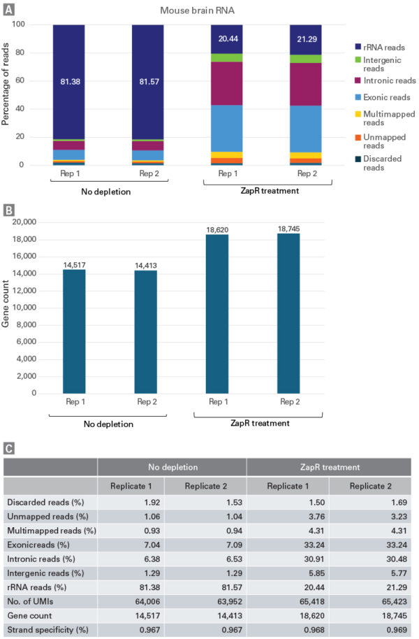 SMART-Seq® Total RNA Pico Input with UMIs (ZapR® Mammalian) 24 Rxns - Image 4