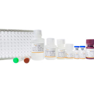 Human IL-6 ELISA Kit, 96T