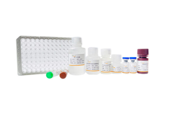 Human IL-6 ELISA Kit, 96T