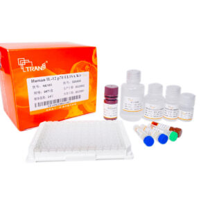 IL-12 p70 human, Elisa Kit 96T