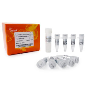 TransNGS® DNA Library Prep Kit for MGI®, 12rxs