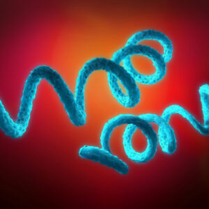 Borrelia Afzelii Antigen, 100ug