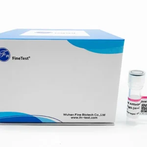 Poly HRP-conjugated Affinipure Goat Anti-Rabbit IgG (H+L), 500ul