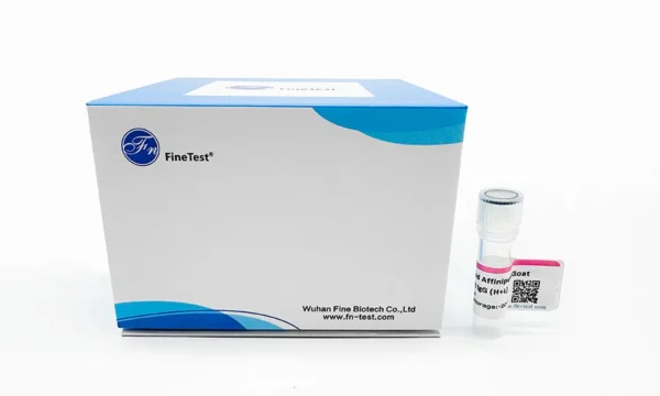 Poly HRP-conjugated Affinipure Goat Anti-Rabbit IgG (H+L), 500ul