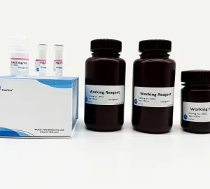 Bradford Protein Assay Kit, 500T