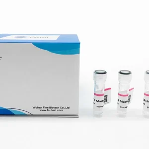 2X PCR Master Mix, 400T
