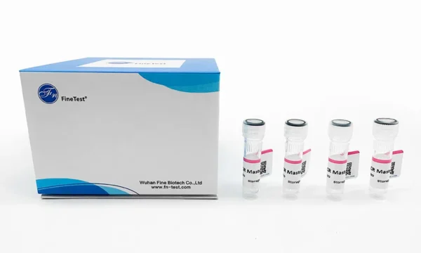 2X PCR Master Mix, 400T