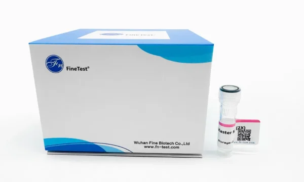 Hi-Fi PCR Master Mix (2X),  1mL