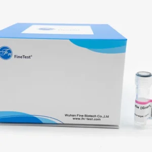 PCR Master Mix (Green, 2X), 1mL