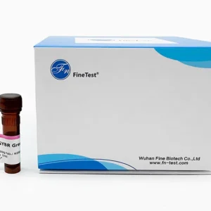 SYBR Green qPCR Mix(2X), 1mL