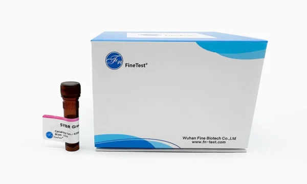 SYBR Green qPCR Mix(2X), 1mL