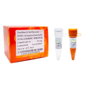 TransDetect® In Situ Fluorescein TUNEL Cell Apoptosis Detection Kit, 25 rxns