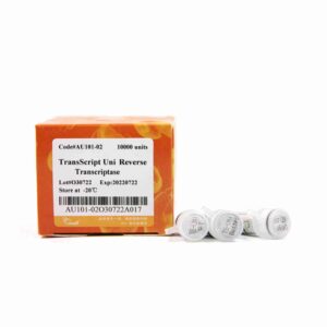 TransScript® Uni Reverse Transcriptase[M-MLV, RNase H-](High Temperature RT) (10000 units)