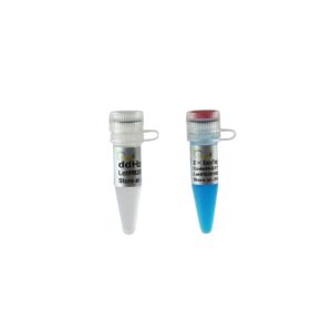 2×EasyTaq® PCR SuperMix (+dye ) [1 ml]