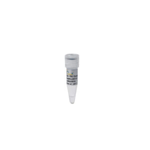 Uracil-DNA Glycosylase (Low Temperature) [100 units]