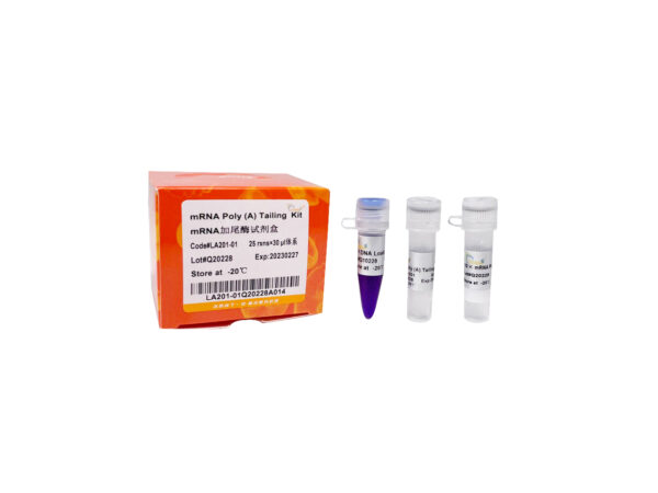 mRNA Poly(A) Tailing Kit (25 rxns)