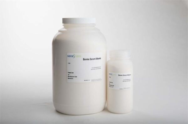 Bovine Serum Albumin Reagent Grade, 100g