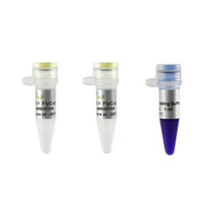 FlyCut® AvrII (2x50 units)