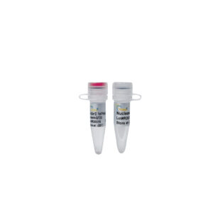 PerfectStart® III Fast Probe qPCR SuperMix UDG (1 ml)