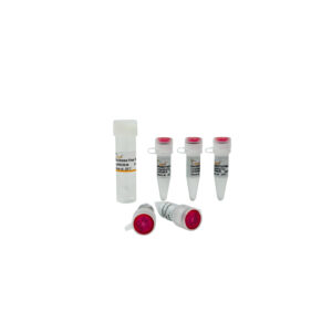 PerfectStart® IV Fast Probe qPCR SuperMix UDG (100 rxns)