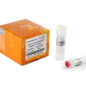 TransStart® Top Green qPCR SuperMix (+Dye I) (1 ml)