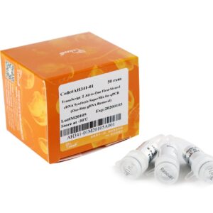 TransScript® II All-in-One First-Strand cDNA Synthesis SuperMix for qPCR (One-Step gDNA Removal) (50 rxns×20 µl system)
