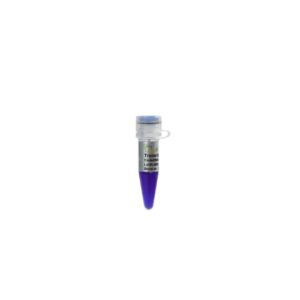 Trans15K DNA Marker (500 µl)