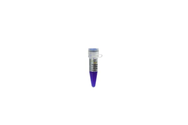 Trans15K DNA Marker (5x500 µl)