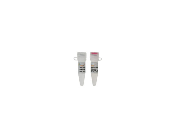 PerfectStart® Universal Green qPCR SuperMix (5x1 ml)