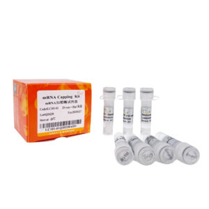 mRNA Capping Kit (100 rxns)