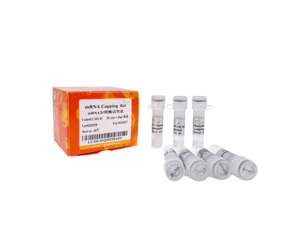 mRNA Capping Kit (100 rxns)
