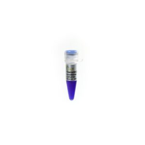 Trans8K DNA Marker (500 µl)