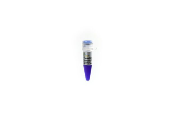 Trans8K DNA Marker (5x500 µl)