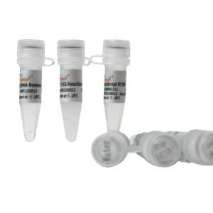 EasyScript® All-in-One First-Strand cDNA Synthesis SuperMix for qPCR (One-Step gDNA Removal) (100 rxns×20 µl system)