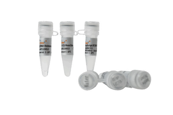 EasyScript® One-Step gDNA Removal and cDNA Synthesis SuperMix (500 rxns×20 µl system)